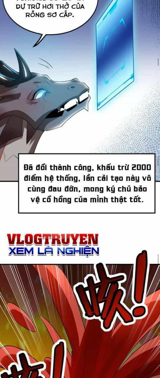 Ác Long Xuyên Không: Khởi Đầu Quốc Vương Hiến Tế Công Chúa - Chương 10 - ảnh 8