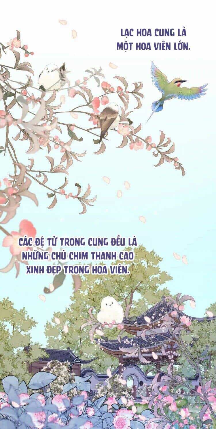 Ác Nữ Cự Tuyệt Cua Nam Chính - Chương 22 - ảnh 2