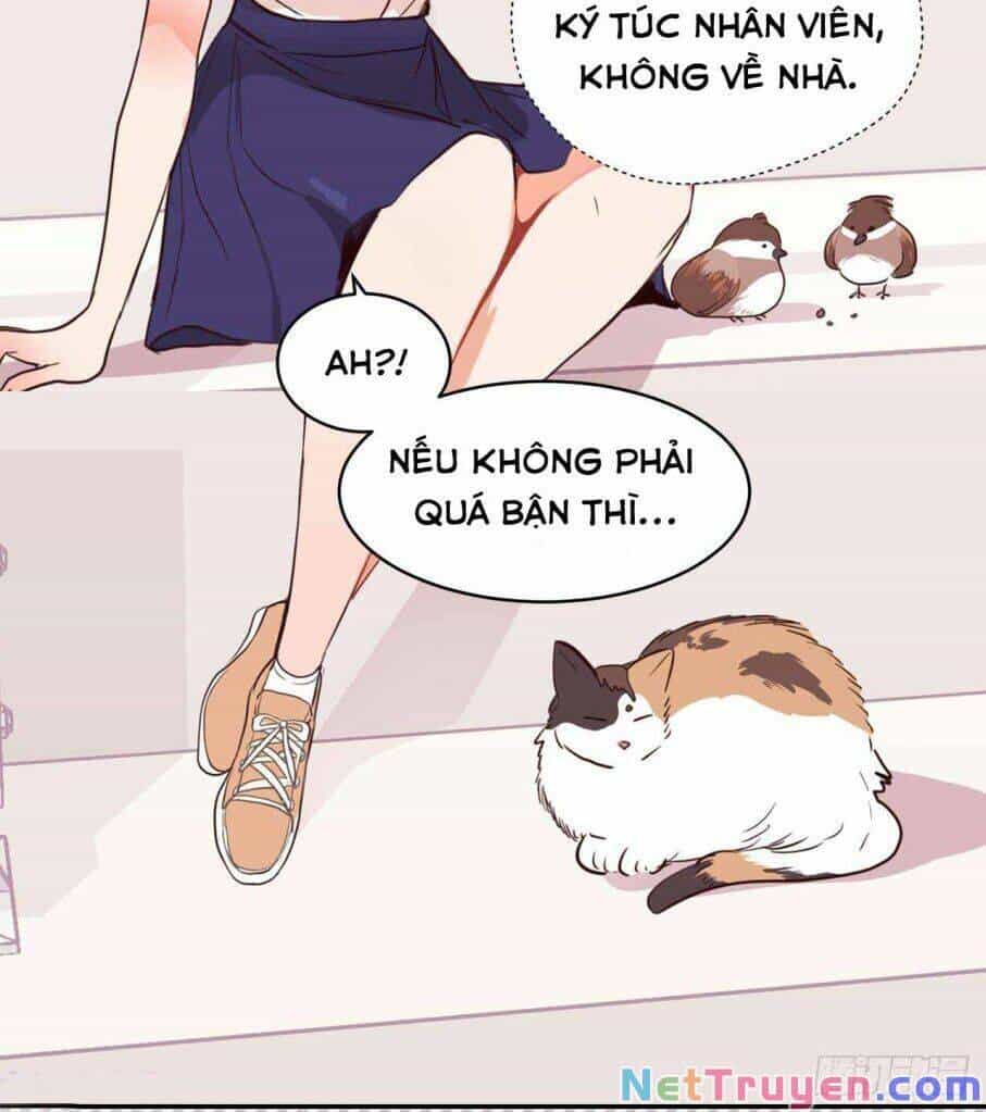 Acup Tiên Sinh - Chương 20 - ảnh 17