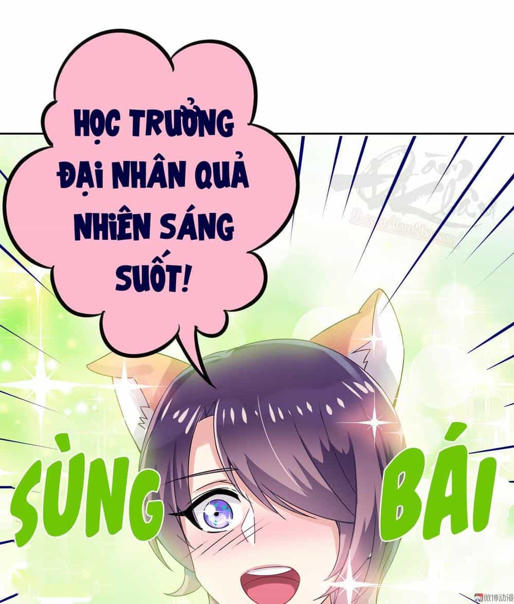 Ái Ngã Đích Đô Khứ Tử - Chương 17 - ảnh 11