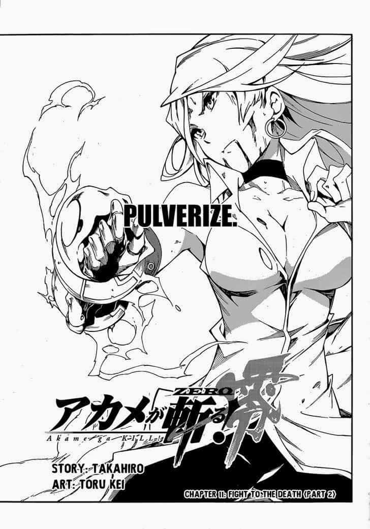 Akame Ga Kill! Zero - Chương 11 - ảnh 3
