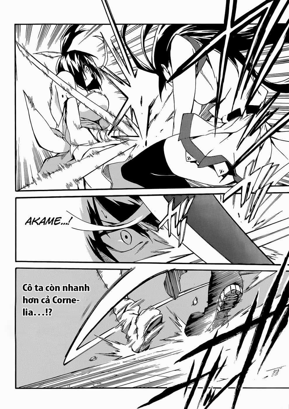 Akame Ga Kill! Zero - Chương 12 - ảnh 15