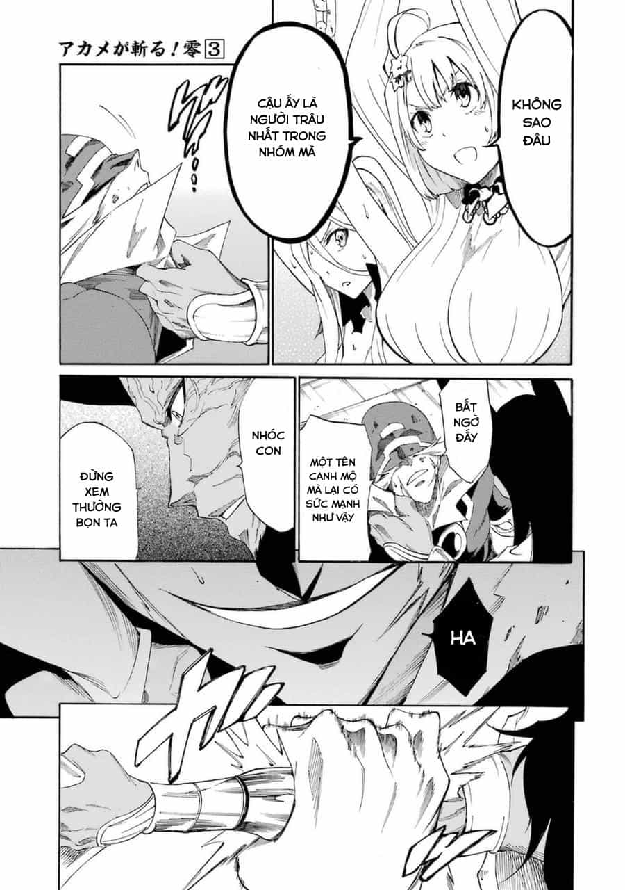Akame Ga Kill! Zero - Chương 20 - ảnh 13