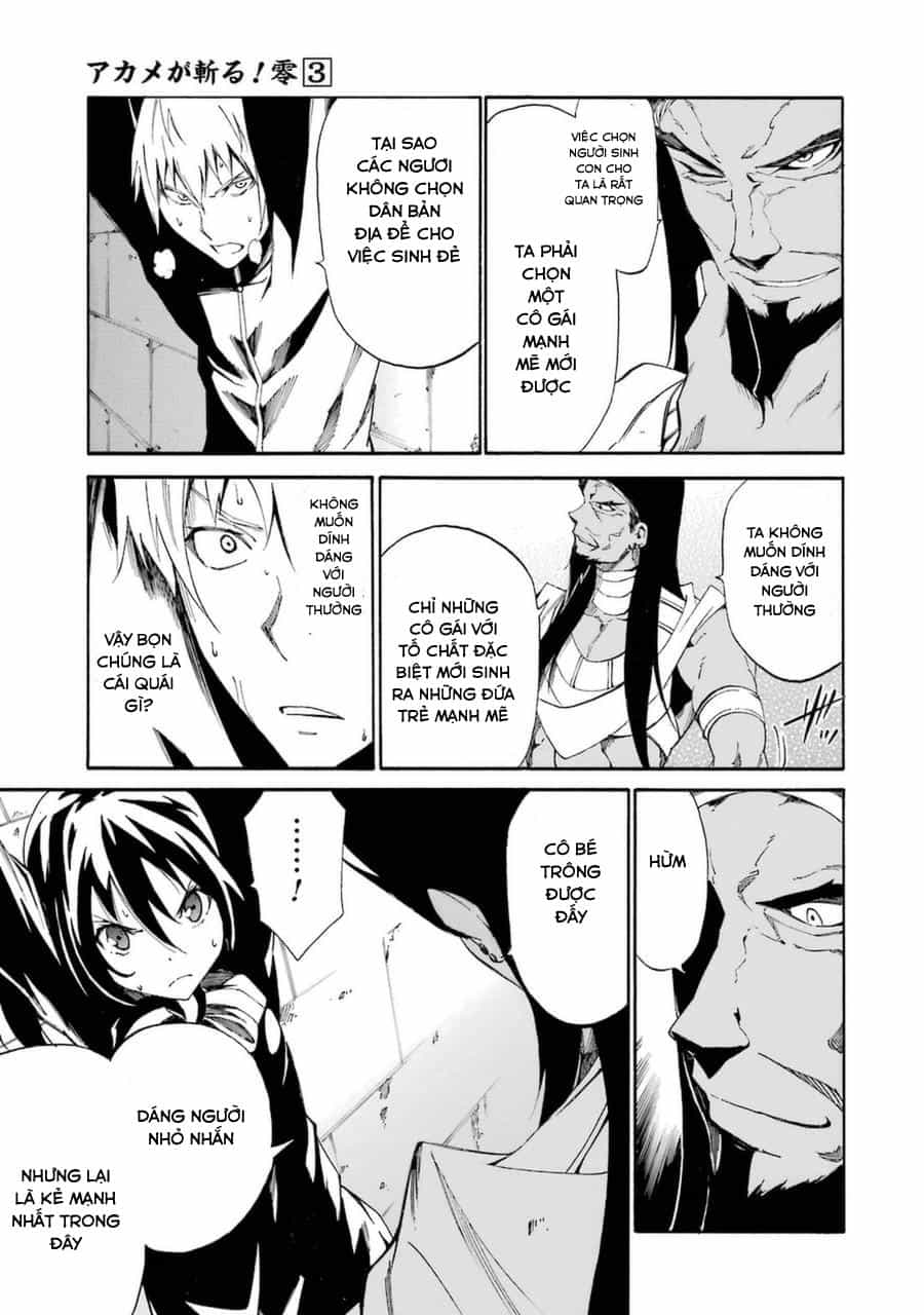 Akame Ga Kill! Zero - Chương 20 - ảnh 3