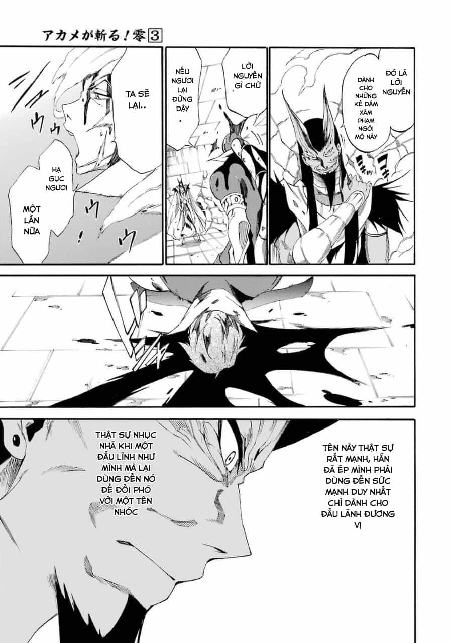 Akame Ga Kill! Zero - Chương 20 - ảnh 30