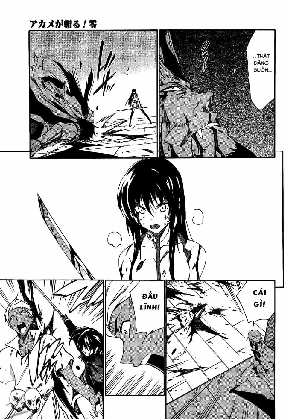Akame Ga Kill! Zero - Chương 23 - ảnh 17