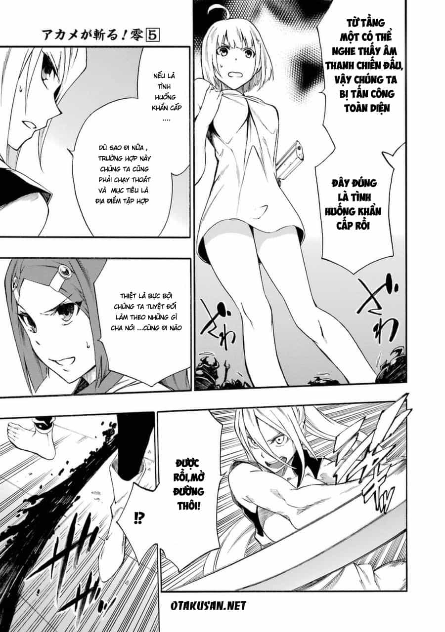 Akame Ga Kill! Zero - Chương 30 - ảnh 24