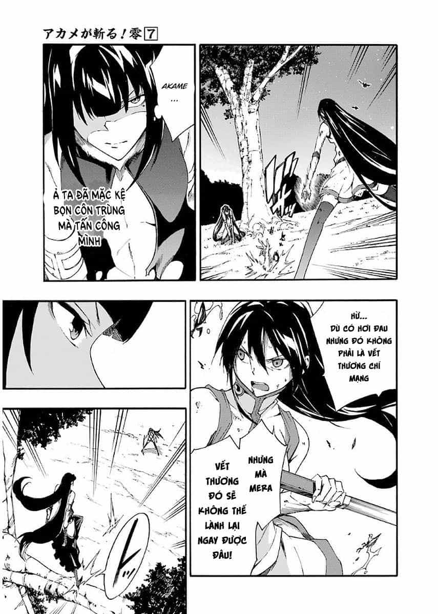 Akame Ga Kill! Zero - Chương 42 - ảnh 17