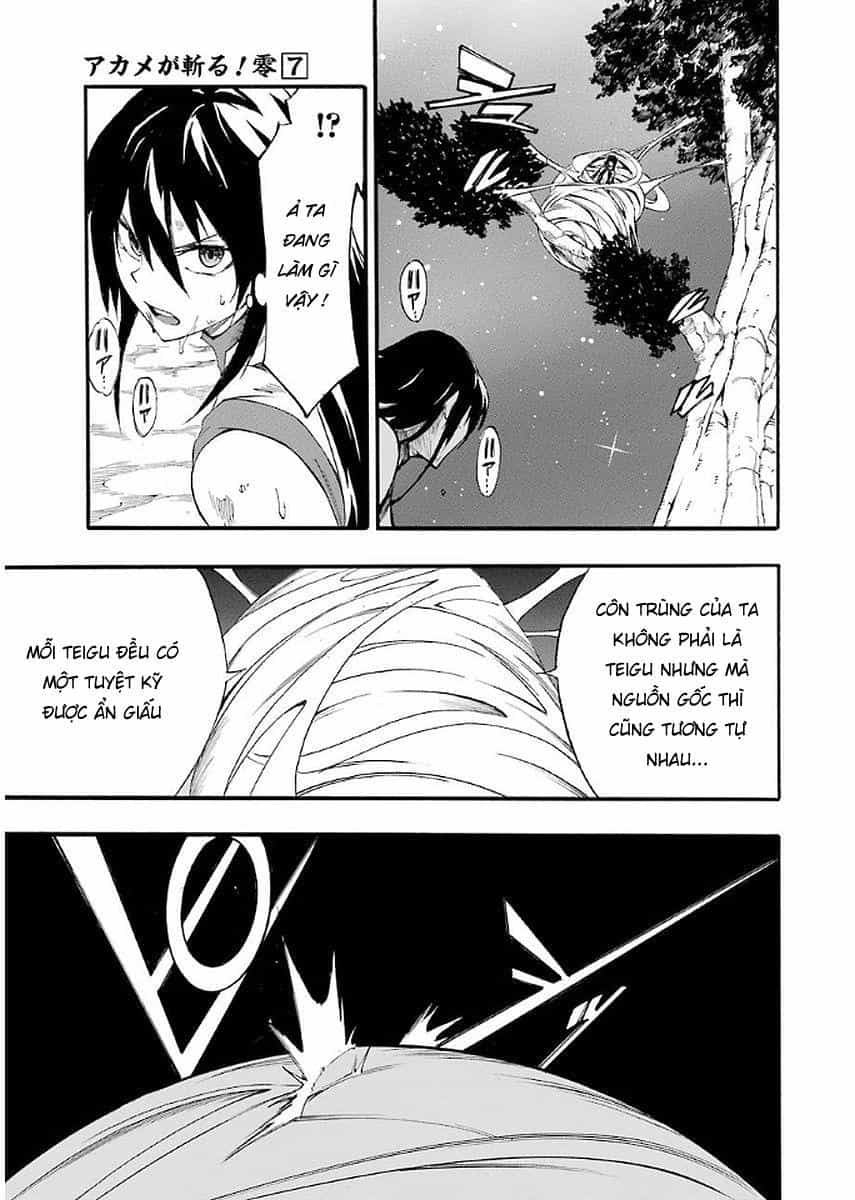 Akame Ga Kill! Zero - Chương 42 - ảnh 19