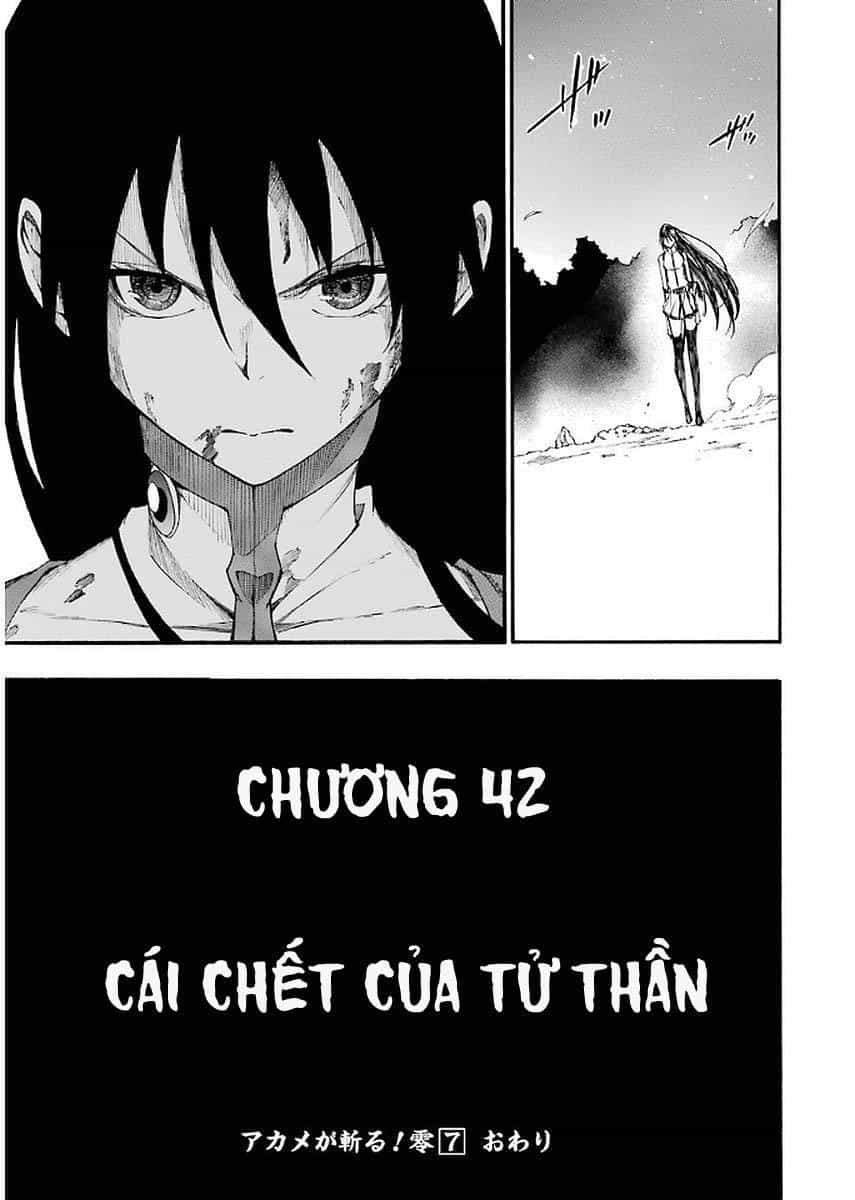 Akame Ga Kill! Zero - Chương 42.5 - ảnh 29