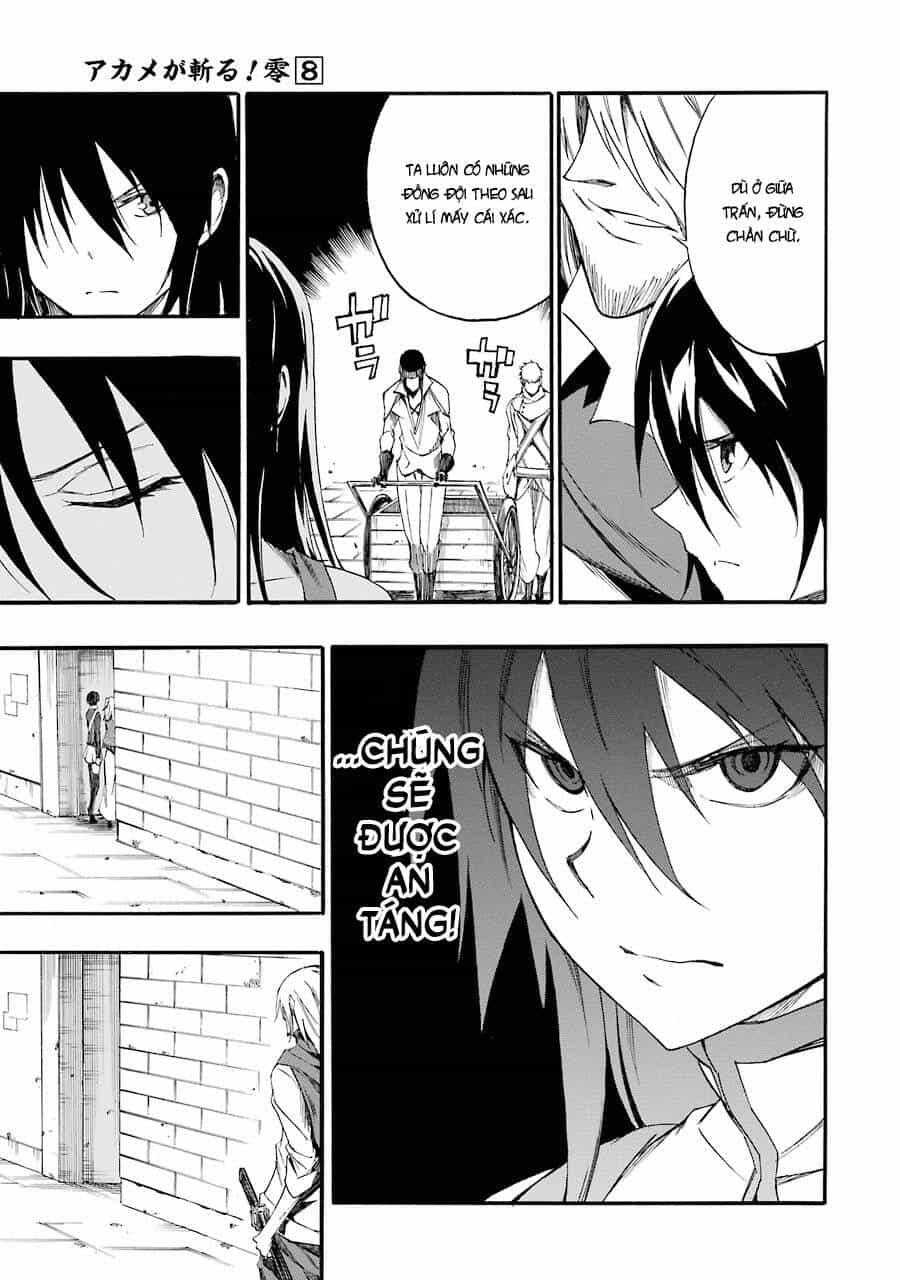 Akame Ga Kill! Zero - Chương 46 - ảnh 19