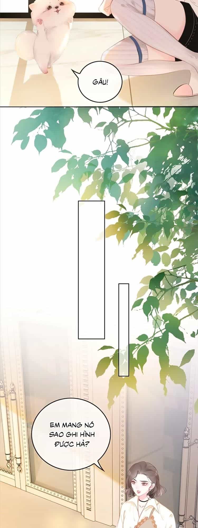Ám Hắc Hệ Noãn Hôn - Chương 20 - ảnh 13
