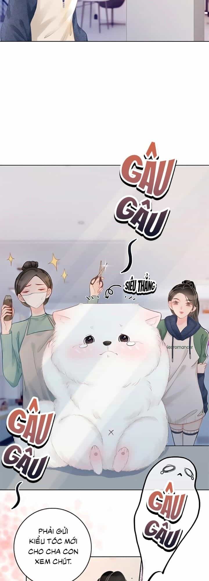 Ám Hắc Hệ Noãn Hôn - Chương 23 - ảnh 5