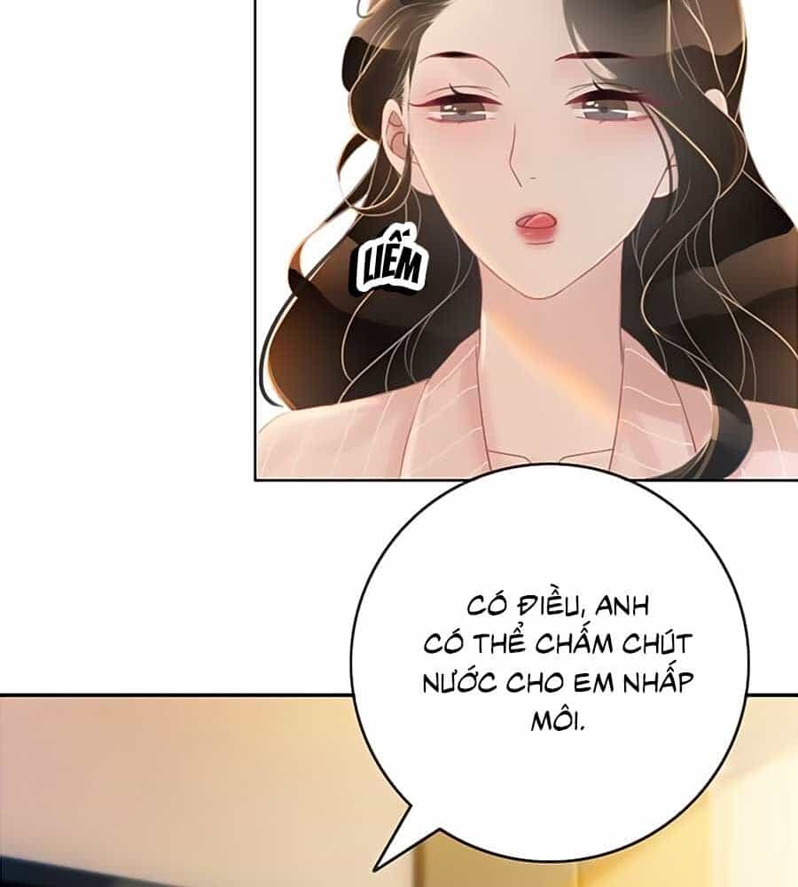 Ám Hắc Hệ Noãn Hôn - Chương 62 - ảnh 28