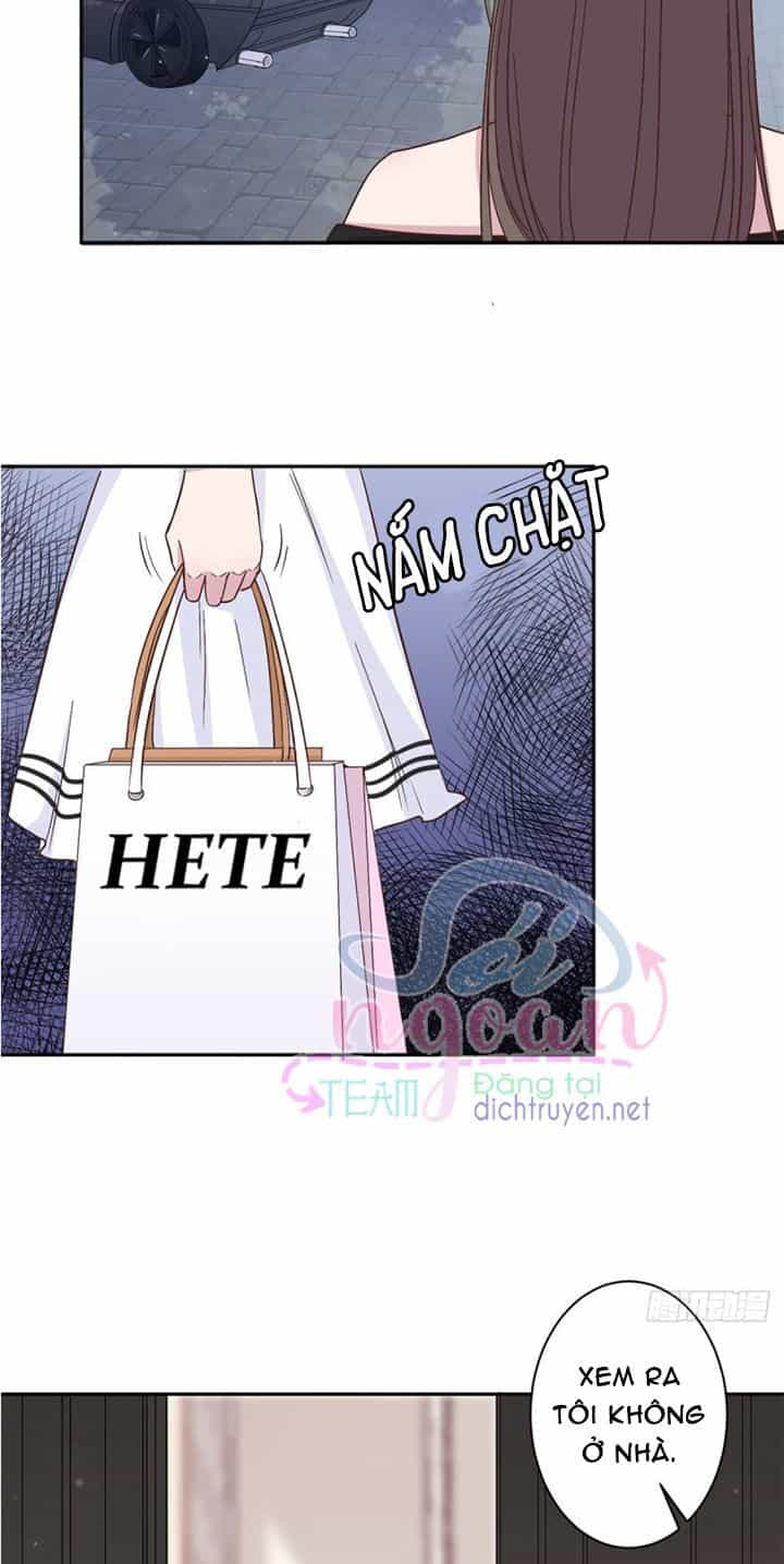 Ẩn Hôn Chí Ái - Chương 13 - ảnh 4