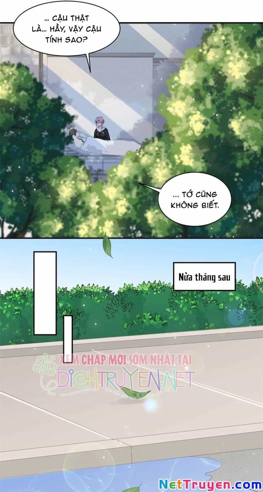 Ẩn Hôn Chí Ái - Chương 57 - ảnh 17