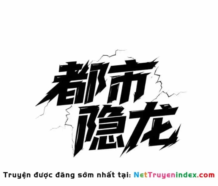 Ẩn Long Đô Thị - Chương 70 - ảnh 15