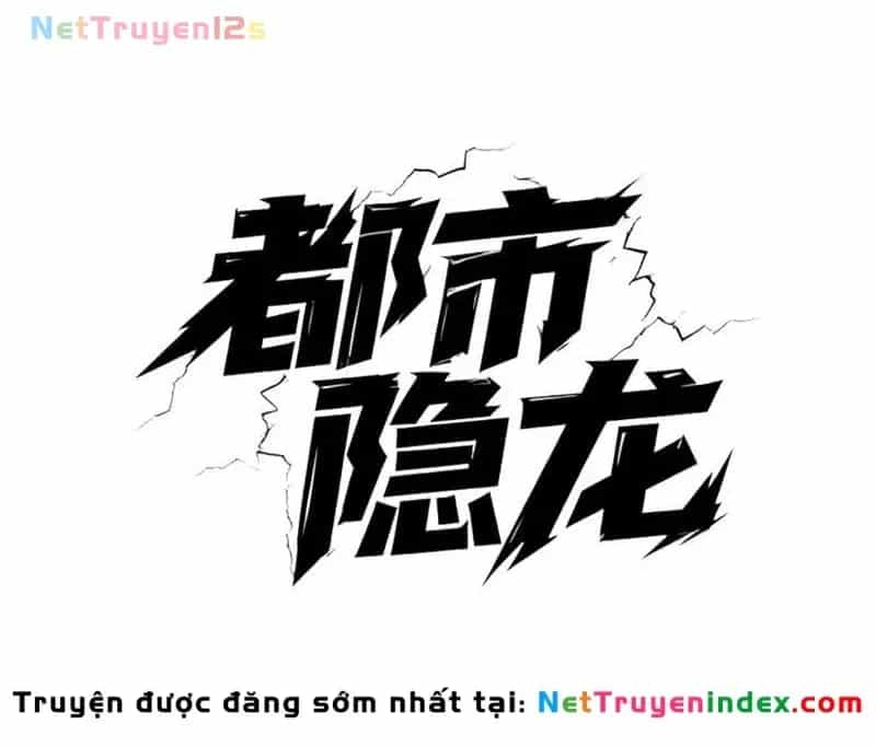 Ẩn Long Đô Thị - Chương 87 - ảnh 24