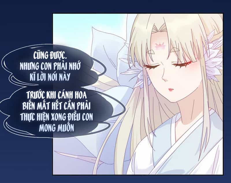 Ảnh Đế Lão Công Độc Ác Yêu - Chương 2 - ảnh 13
