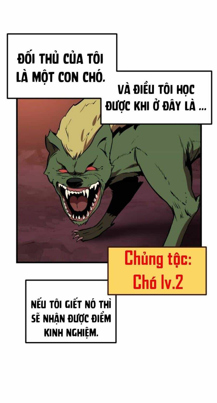 Anh Hùng Mạnh Nhất? Ta Không Làm Lâu Rồi! - Chương 2 - ảnh 13