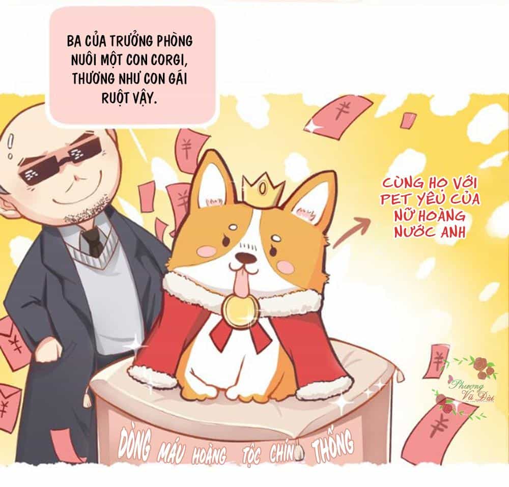 Anh Không Thích Thế Giới Này, Anh Chỉ Thích Em - Chương 20 - ảnh 19