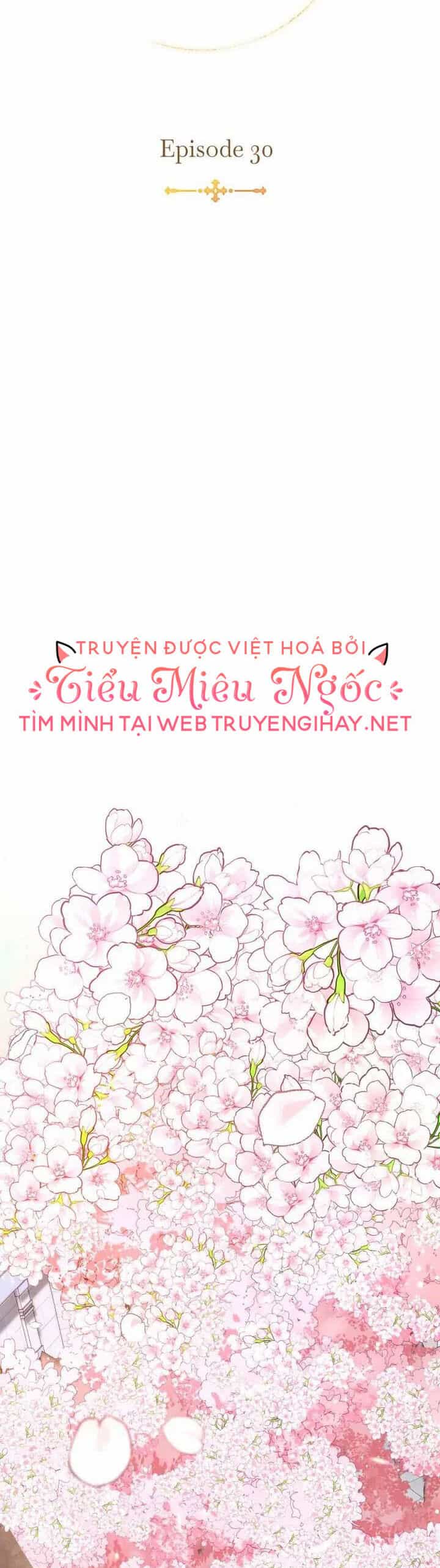 Ánh Sáng Vàng Của Bình Minh - Chương 30 - ảnh 12
