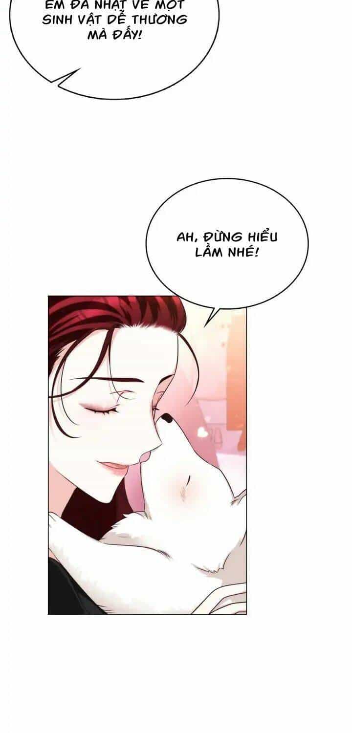 Ánh Sáng Vàng Của Bình Minh - Chương 6 - ảnh 27