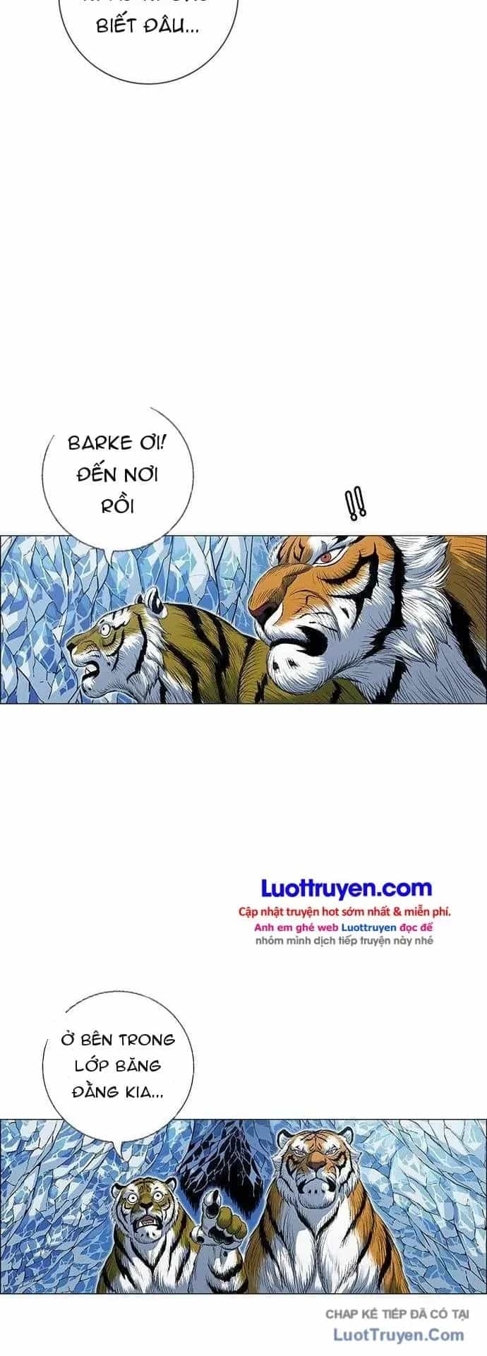 Anh Trai Tôi Là Hổ - Chương 298 - ảnh 53