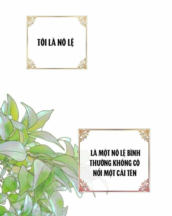 Ba Người Anh Trai Của Tôi Là Bạo Quân - Chương 1 - ảnh 2