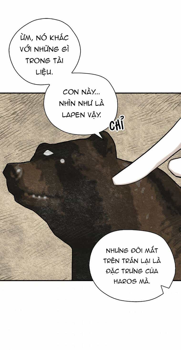 Ba Người Anh Trai Của Tôi Là Bạo Quân - Chương 47.1 - ảnh 45