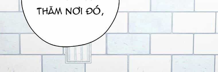 Ba Người Anh Trai Của Tôi Là Bạo Quân - Chương 66 - ảnh 58