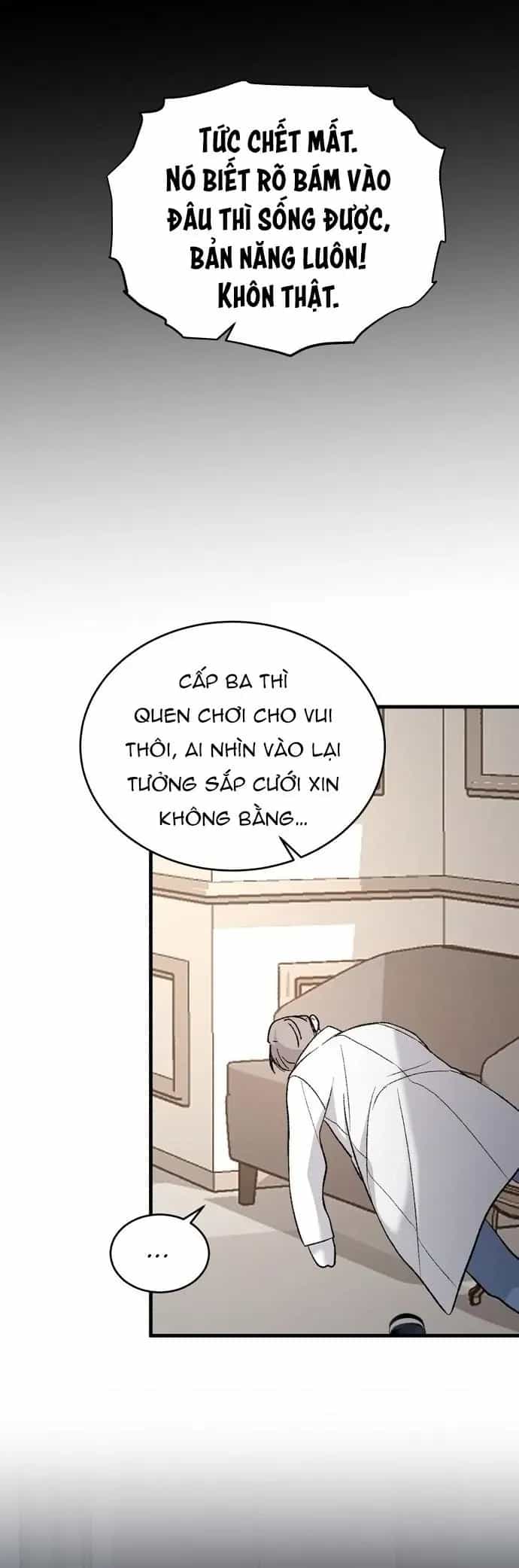 Ba Người Anh Trai Cực Phẩm Của Tôi - Chương 113 - ảnh 31