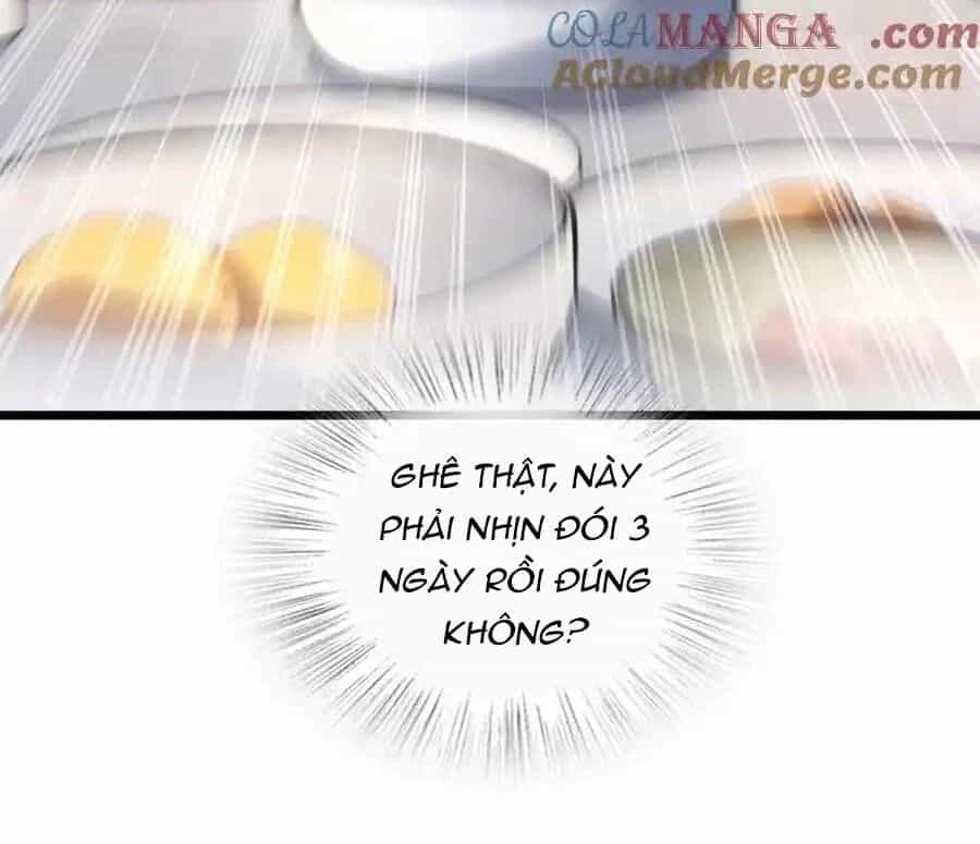Bà Xã Nhà Tôi Đến Từ Ngàn Năm Trước - Chương 276 - ảnh 24