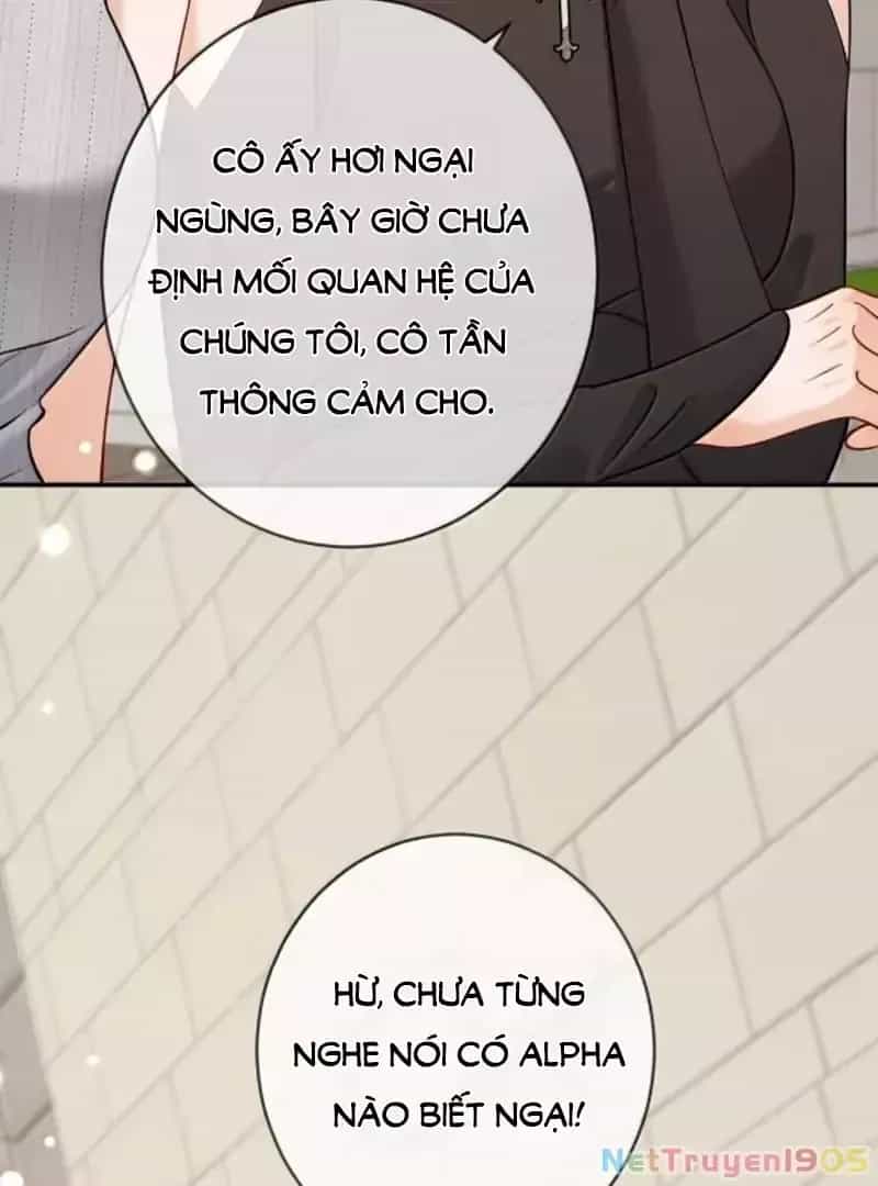 Bạch Nguyệt Quang Cô Ấy Luôn Muốn Đánh Dấu Tôi - Chương 20 - ảnh 21
