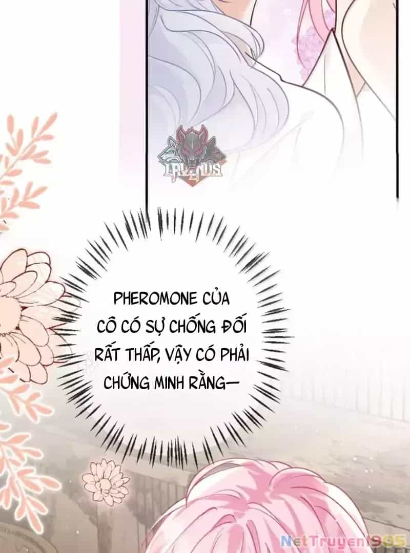 Bạch Nguyệt Quang Cô Ấy Luôn Muốn Đánh Dấu Tôi - Chương 21 - ảnh 35