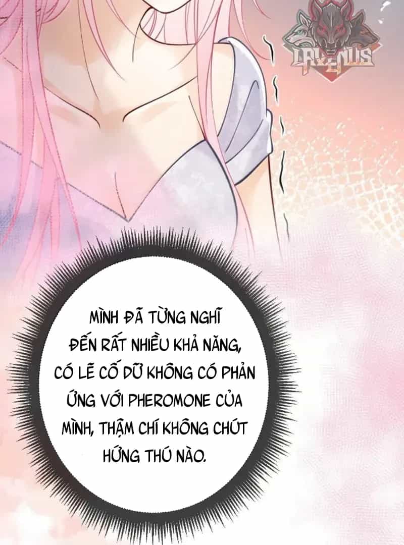 Bạch Nguyệt Quang Cô Ấy Luôn Muốn Đánh Dấu Tôi - Chương 28 - ảnh 52