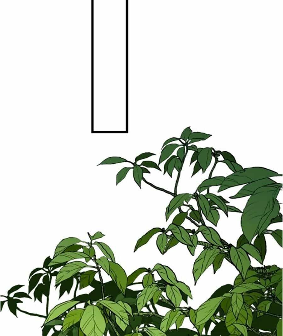 Bài Ca Tình Yêu - Chương 7 - ảnh 10