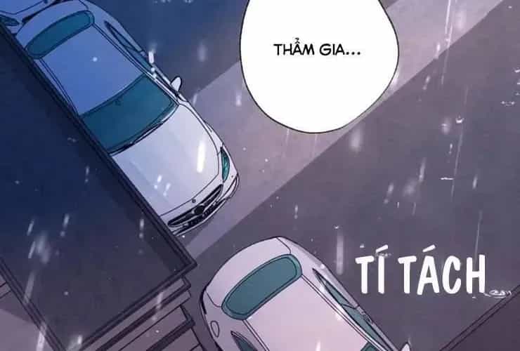 Bạn Gái Tôi Ấm Áp Tựa Như Xương Rồng Nở Hoa - Chương 70 - ảnh 37