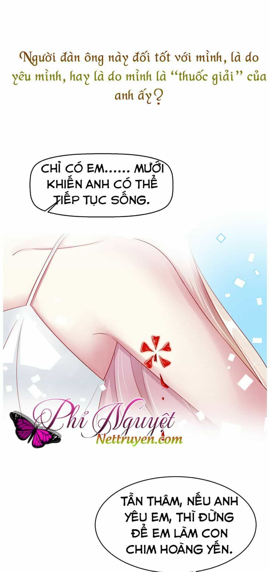 Băng Sơn Tổng Tài Sủng Thê Đến Vô Đạo - Chương 1 - ảnh 26