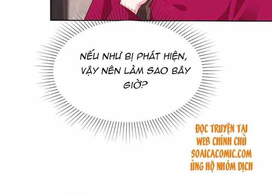 Băng Sơn Tổng Tài Sủng Thê Đến Vô Đạo - Chương 217 - ảnh 7