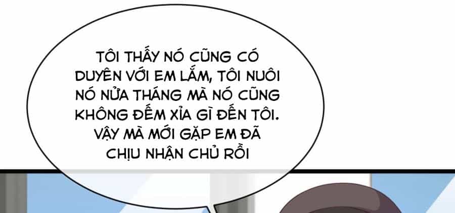 Băng Sơn Tổng Tài Sủng Thê Đến Vô Đạo - Chương 46 - ảnh 37