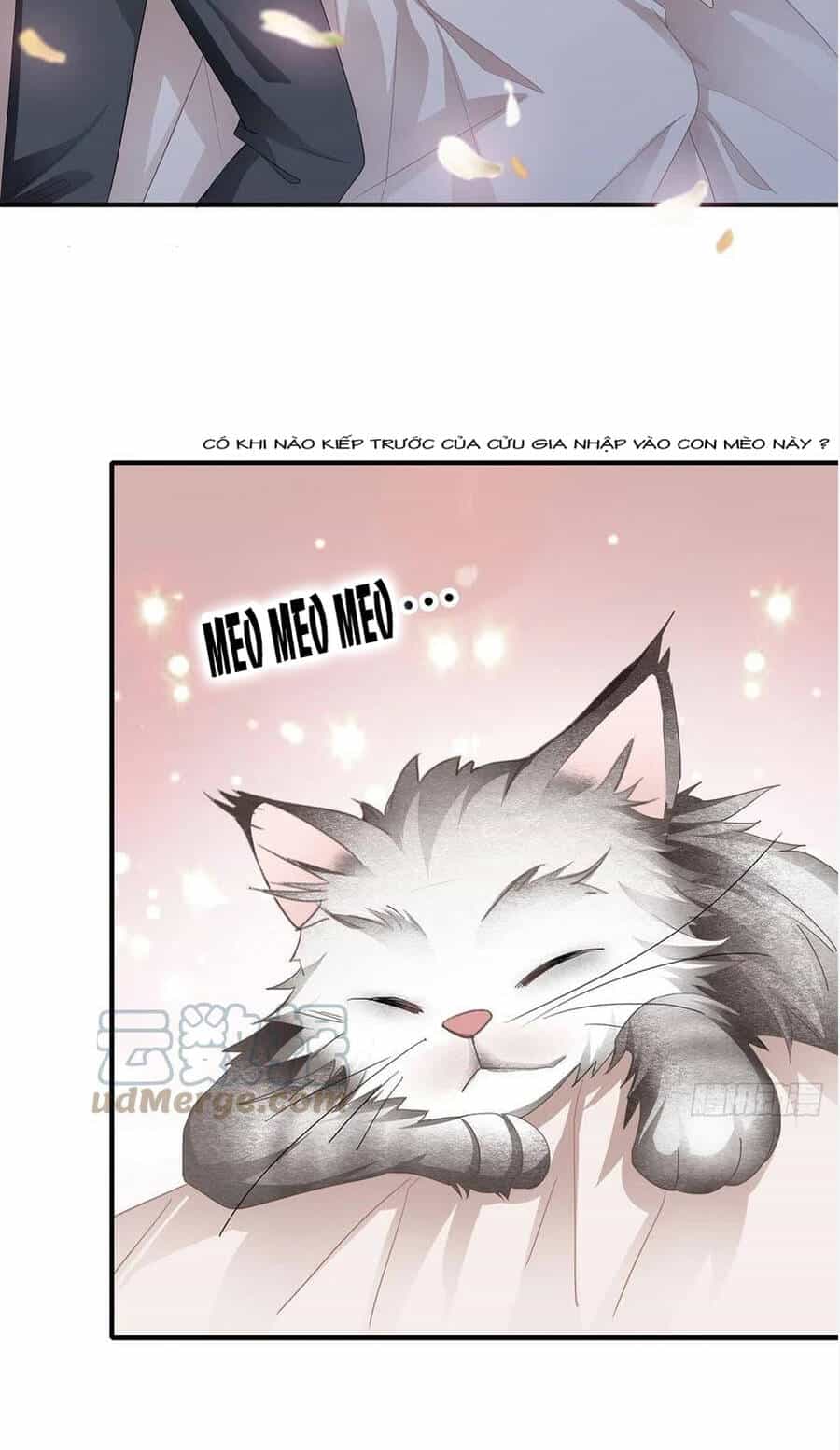 Bạo Quân Ái Nhân - Chương 68 - ảnh 3