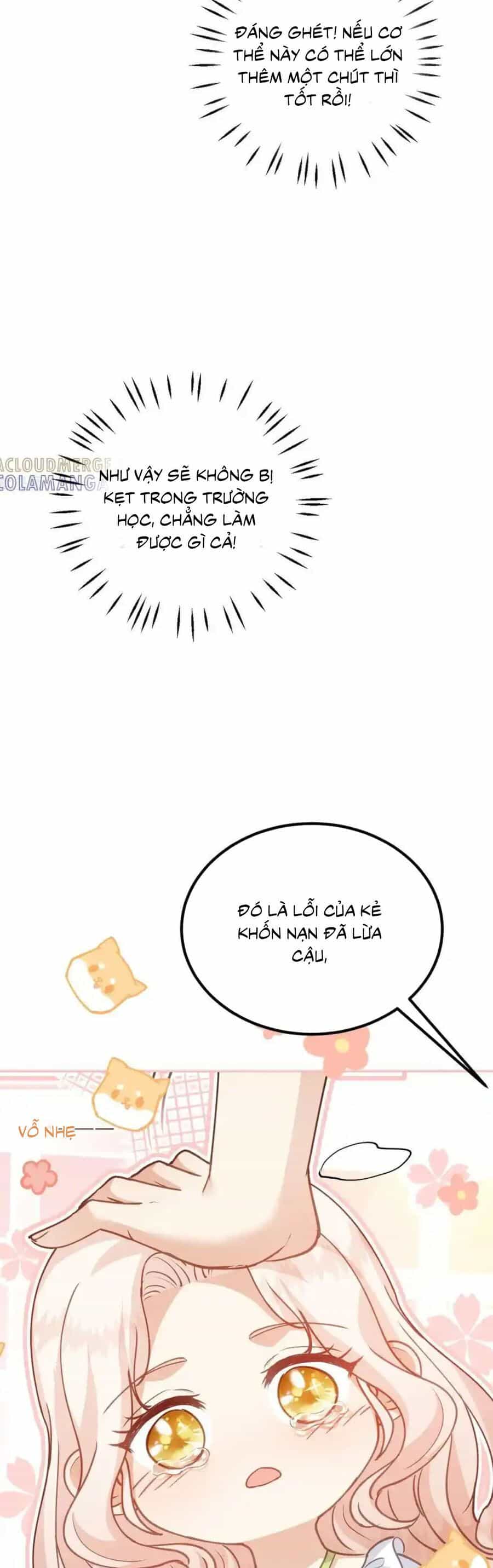 Bạo Quân Khát Máu Hóa Ra Là Chồng Cũ Của Tôi - Chương 53 - ảnh 3