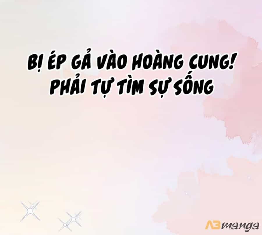 Bạo Sủng Tiểu Manh Phi - Chương 0 - ảnh 9