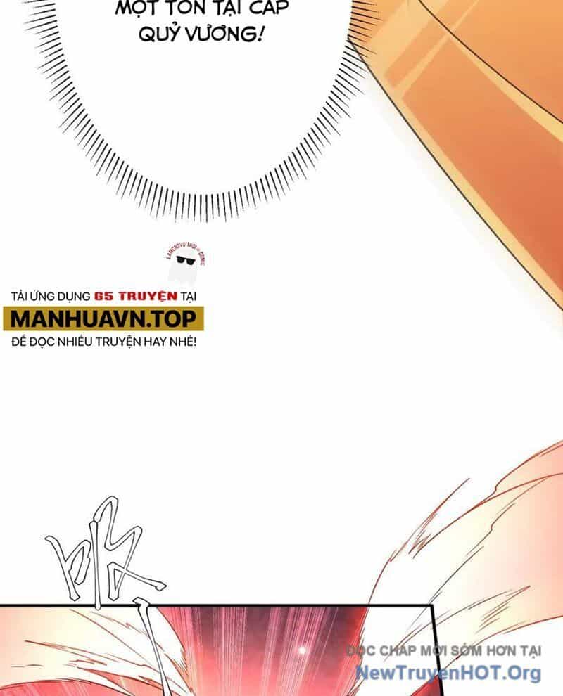 Bắt Đầu Với Trăm Vạn Minh Tệ - Chương 257 - ảnh 29