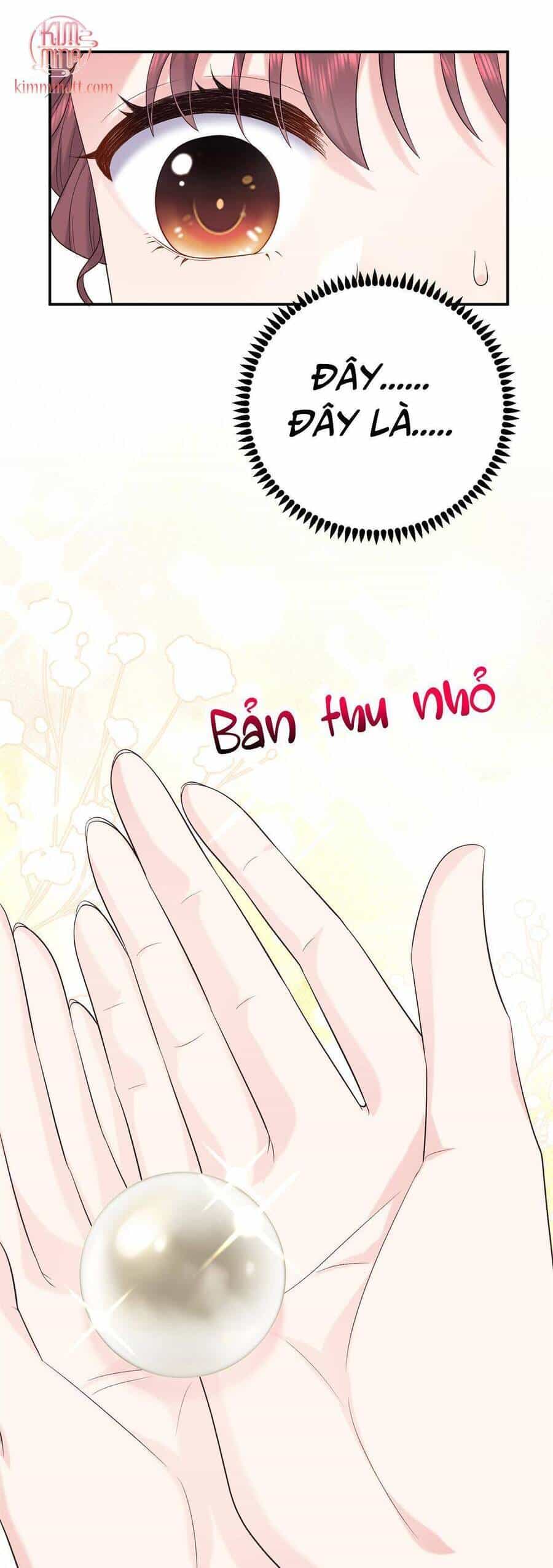 Bát Phu Lâm Môn - Chương 20 - ảnh 4