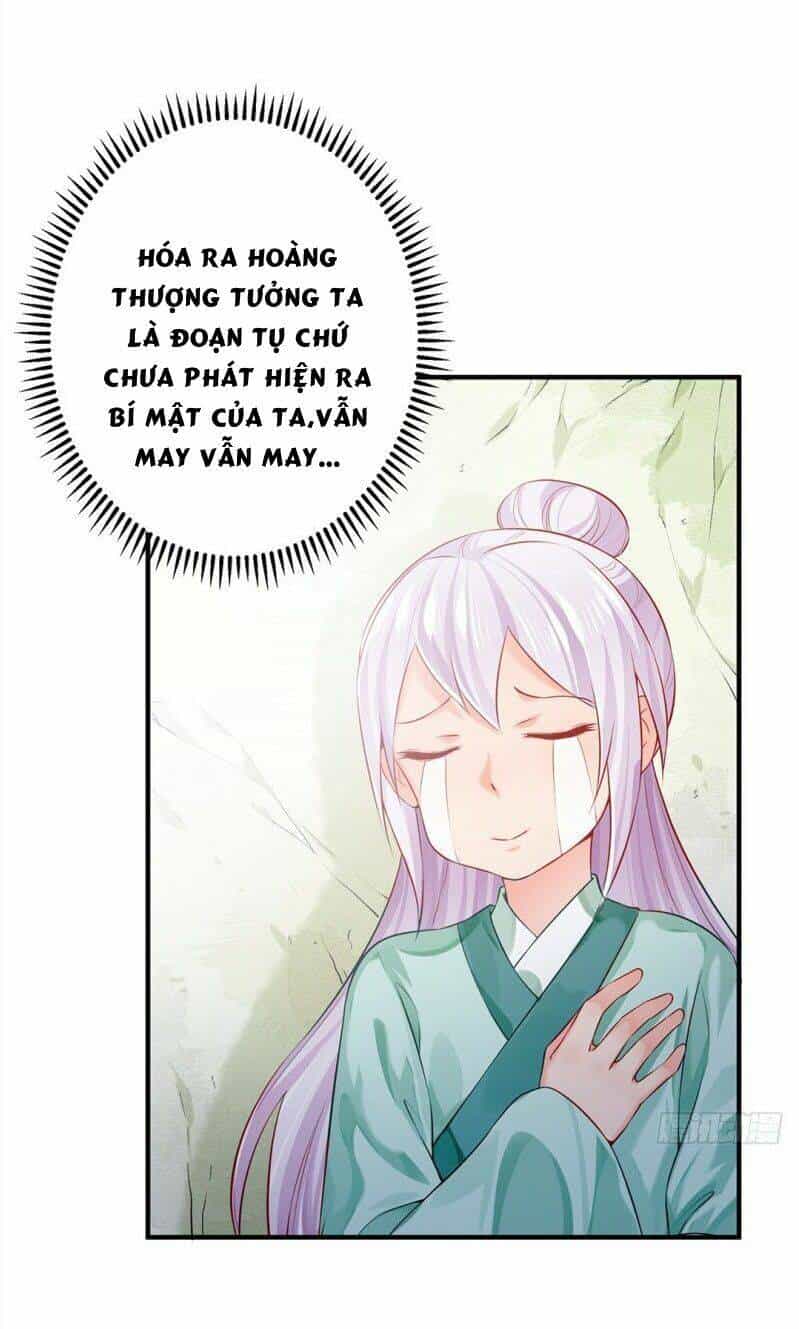 Bệ Hạ Xin Tự Trọng - Chương 33 - ảnh 2