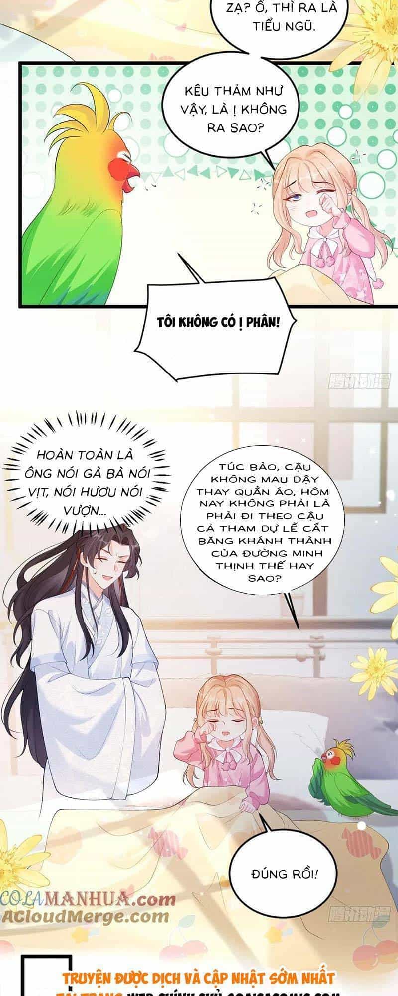 Bé Thóc Đáng Thương Được Tám Người Cậu Tranh Sủng - Chương 22 - ảnh 2