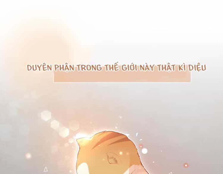 Bên Anh Mới Là Cả Thế Giới - Chương 0 - ảnh 1