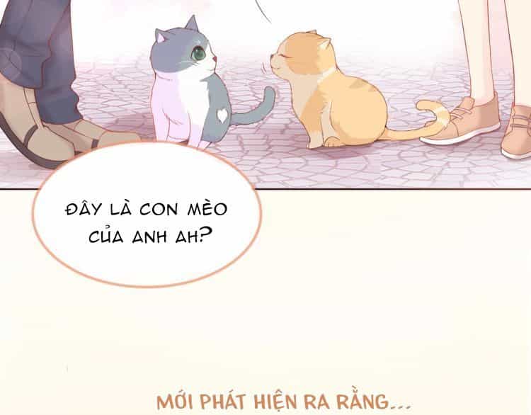Bên Anh Mới Là Cả Thế Giới - Chương 0 - ảnh 28